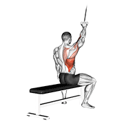 Animación de alternate lateral pulldown