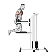 Animación de assisted chest dip (kneeling)