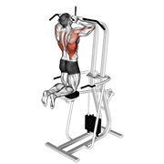 Animación de assisted parallel close grip pull-up