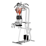 Animación de assisted pull-up