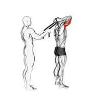 Animación de assisted standing triceps extension (with towel)