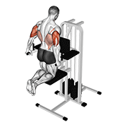 Animación de assisted triceps dip (kneeling)