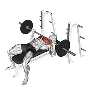 Animación de barbell bench press