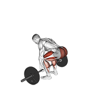 Animación de barbell deadlift