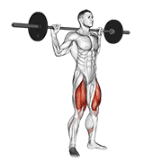 Animación de barbell full squat