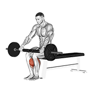 Animación de barbell seated calf raise