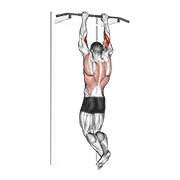 Animación de biceps pull-up