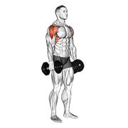Animación de dumbbell lateral raise