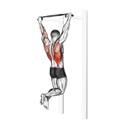 Animación de pull-up