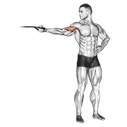 Animación de band one arm overhead biceps curl