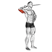 Animación de band side triceps extension