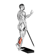 Animación de band single leg calf raise