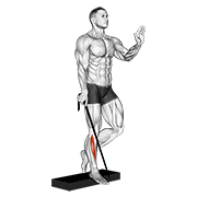 Animación de band single leg reverse calf raise