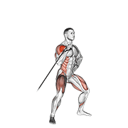 Animación de band twisting overhead press