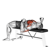 Animación de band bench press