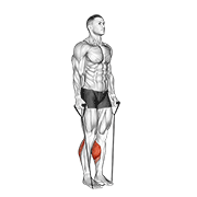 Animación de band two legs calf raise - (band under both legs) v. 2