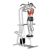 Animación de assisted standing chin-up