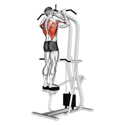Animación de assisted standing pull-up