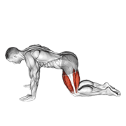 Animación de all fours squad stretch