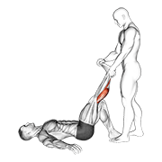 Animación de assisted lying calves stretch