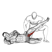 Animación de assisted side lying adductor stretch
