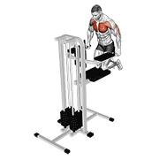 Animación de assisted wide-grip chest dip (kneeling)