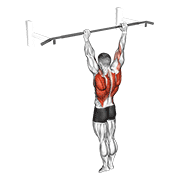 Animación de archer pull up